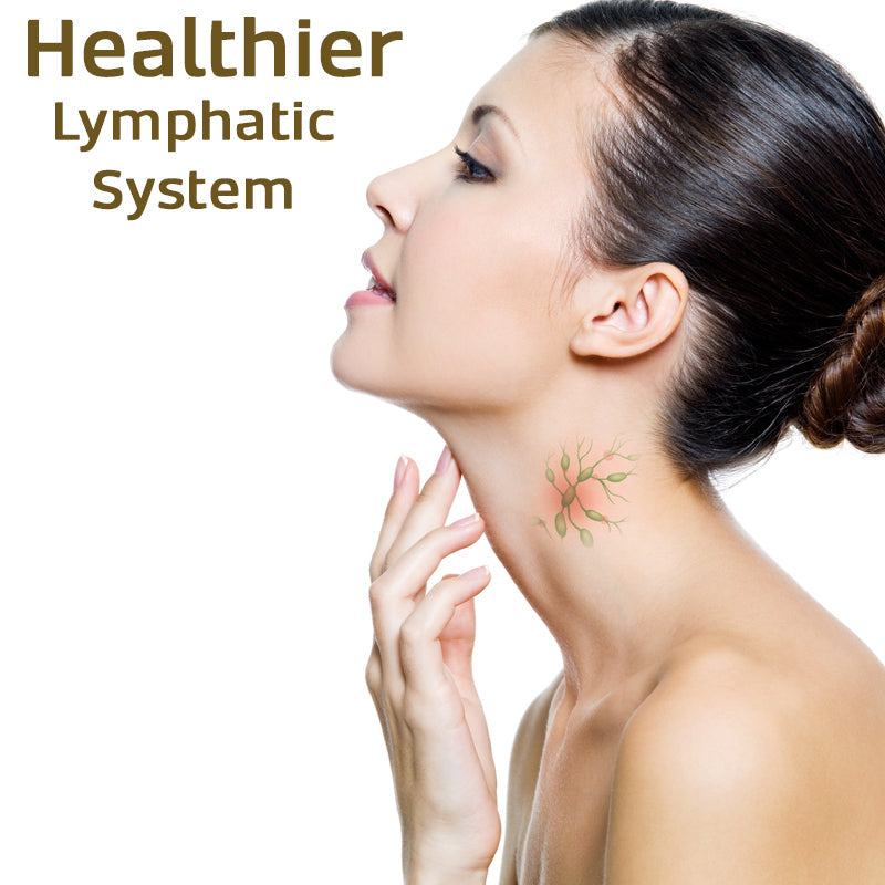 HerbalClean Lymphatic Body Shower Gel